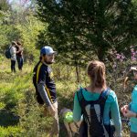 Students conduct research on trees and plant life in Natural Bridge State Park.