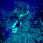 Libby Exline '19 scuba diving off the coast of the Turks and Caicos Islands.