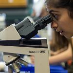 A Science Day attendee takes a look through a microscope