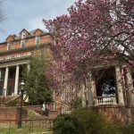 Spring flowers in front of the Engagement Tower and Moore Hall.