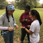 Students examine tree core samples Students examine tree core samples