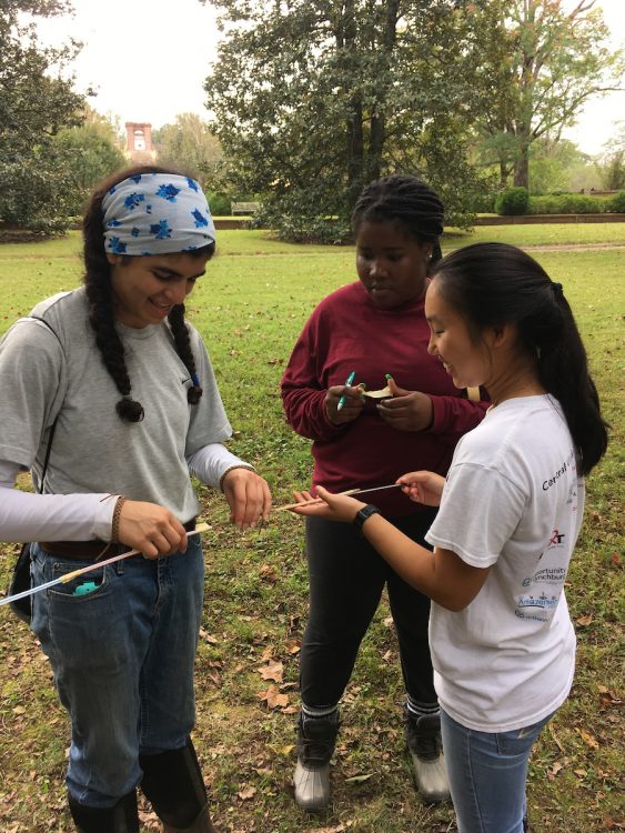 Students examine tree core samples Students examine tree core samples