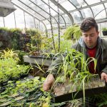 A student works with plant samples in the greenhouse behind Martin Science Building