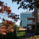 Fall leaves in front of the Student Center