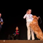 Faculty and staff brought their dogs to the stage for a dog show portion of The Show.