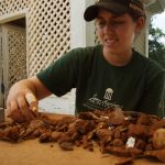 Samantha Henderson sifts through artifacts found at James Madison's Montpelier. (Photo by Montpelier Archaeology Department)