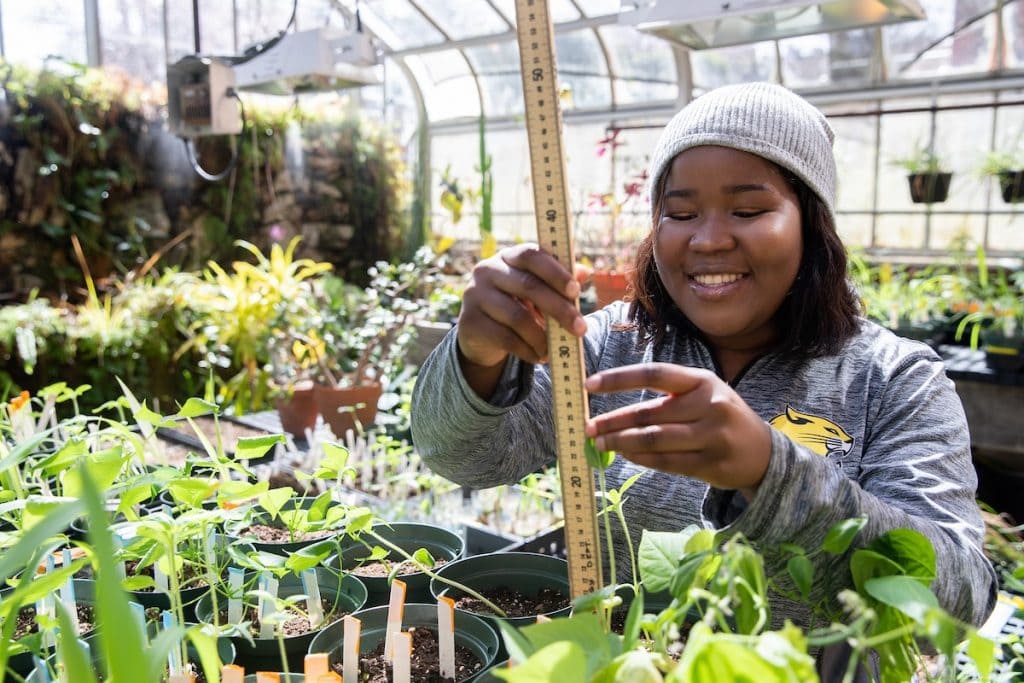 Jdody Misidor '21 works in the Randolph College greenhouse