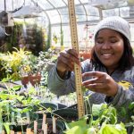 Jdody Misidor '21 works in the Randolph College greenhouse