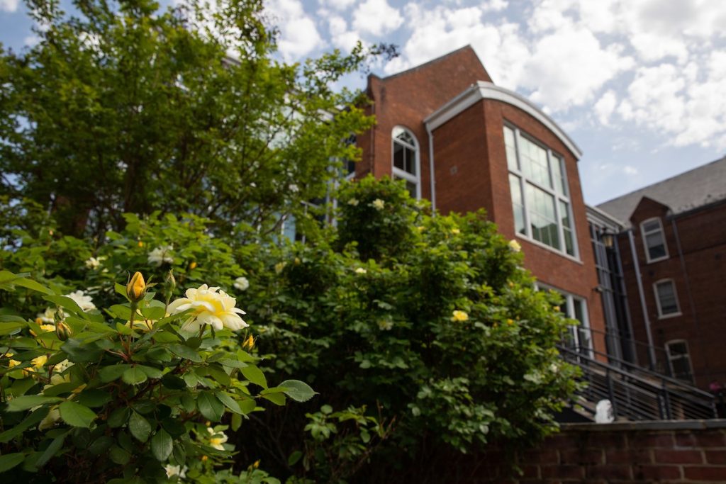 Flowers blooming in front of the Student Center