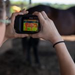 Sidney Clark take a thermal image of a horse