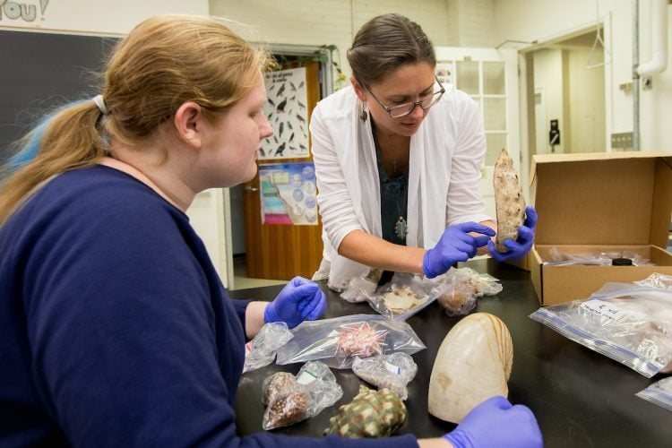 Cai Czuhai and Emily Smith examine fossils in the Natural History Collections lab at Randolph Cai Czuhai and Emily Smith examine fossils in the Natural History Collections lab at Randolph
