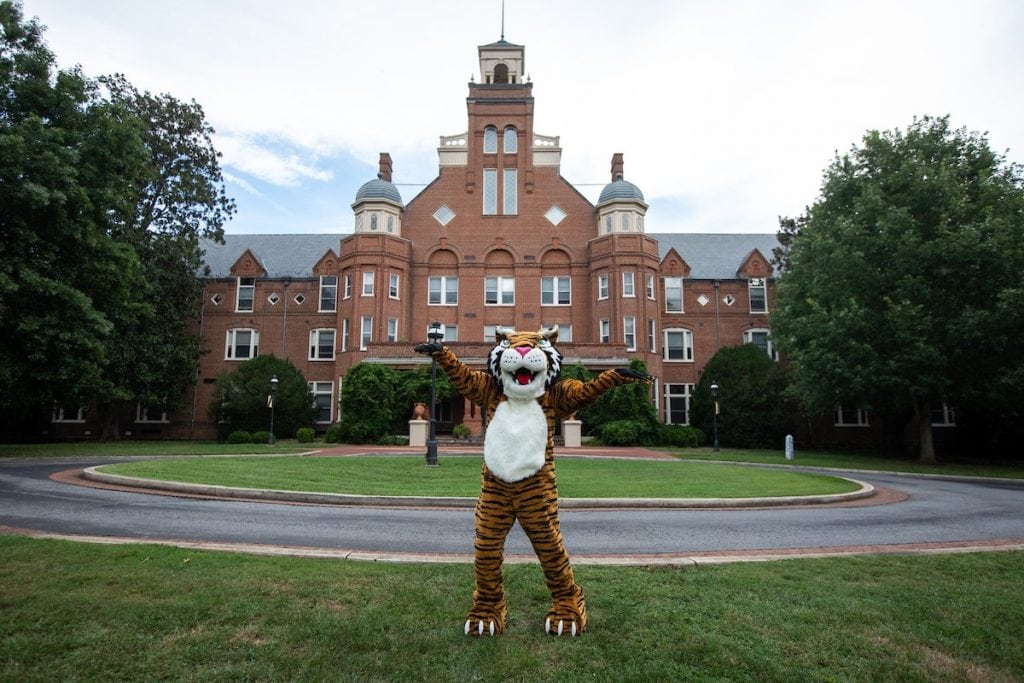 The new Wanda WildCat on front campus