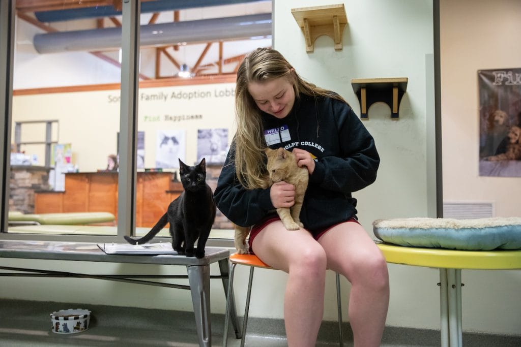 Hannah Overstreet pets cats at the Lynchburg Humane Society