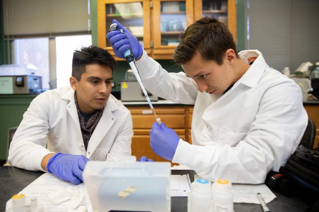 Eynnar Claros Chacon (left) and Allen Vaytser extract DNA samples in the lab