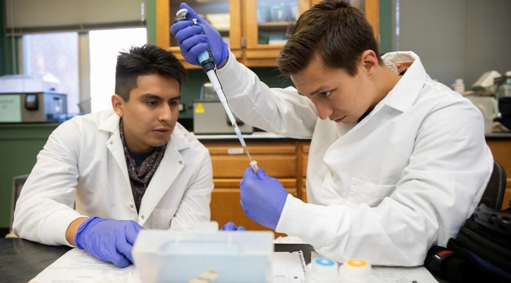 Eynnar Claros Chacon (left) and Allen Vaytser extract DNA samples in the lab
