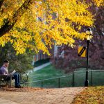 A student studies on a bench under fall colors on front campus