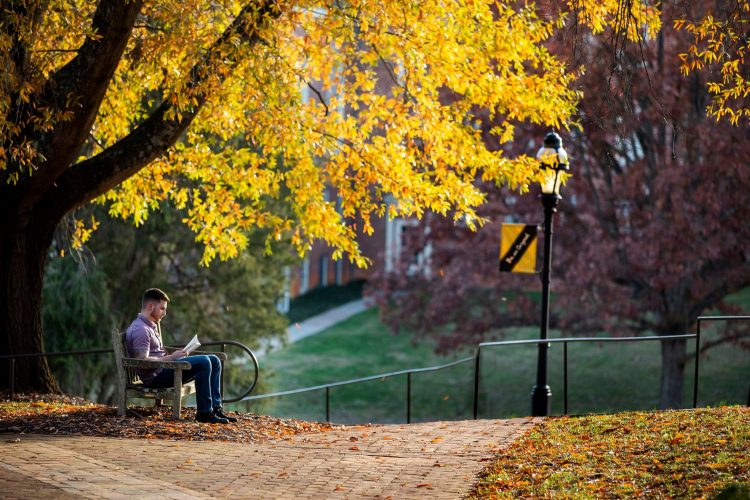 A student studies on a bench under fall colors on front campus A student studies on a bench under fall colors on front campus