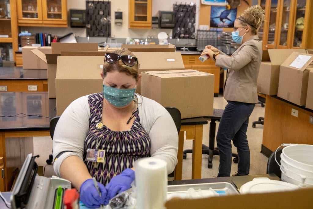 Biology lab technician Sara Harper and visiting biology professor Erin Heller put together lab kits for students taking Heller's zoology course this fall.