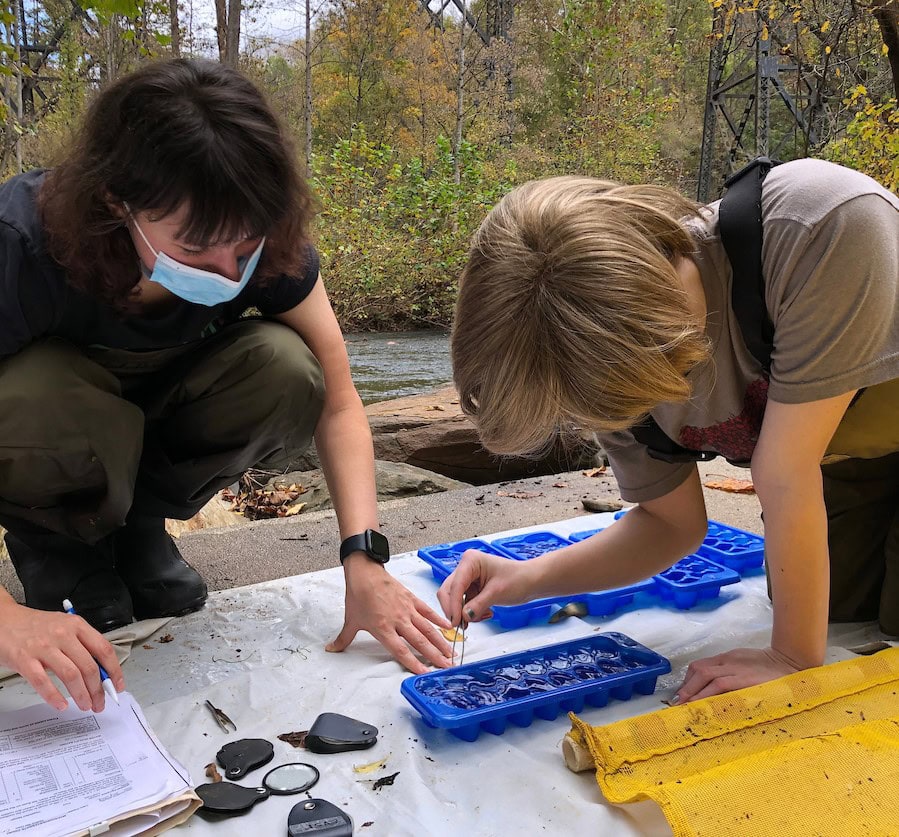 Sarah Greene '24, Hailey Gilman '22 look at samples taken from the Blackwater Creek in late October.