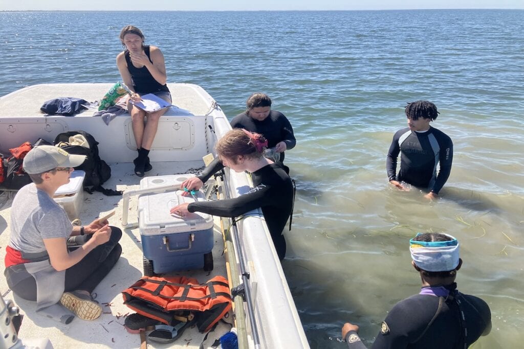 Students collect samples on the Eastern Shore of Virginia. Some sit in the boat, while others are in the water in wetsuits. Students collect samples on the Eastern Shore of Virginia. Some sit in the boat, while others are in the water in wetsuits.