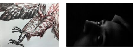 A collage featuring two pieces of art: Elizabeth Bailey's painting Red Tailed Hawk 2, 2024, and Allie Allen, Untitled, 2024