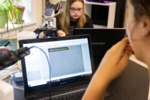 A student in the foreground looks at scientific samples on her laptop, while her classmate sits across from her on her own laptop.
