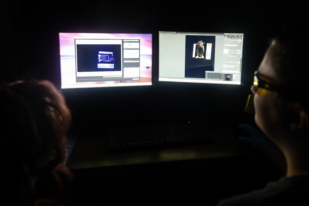 Image of two computer screens 