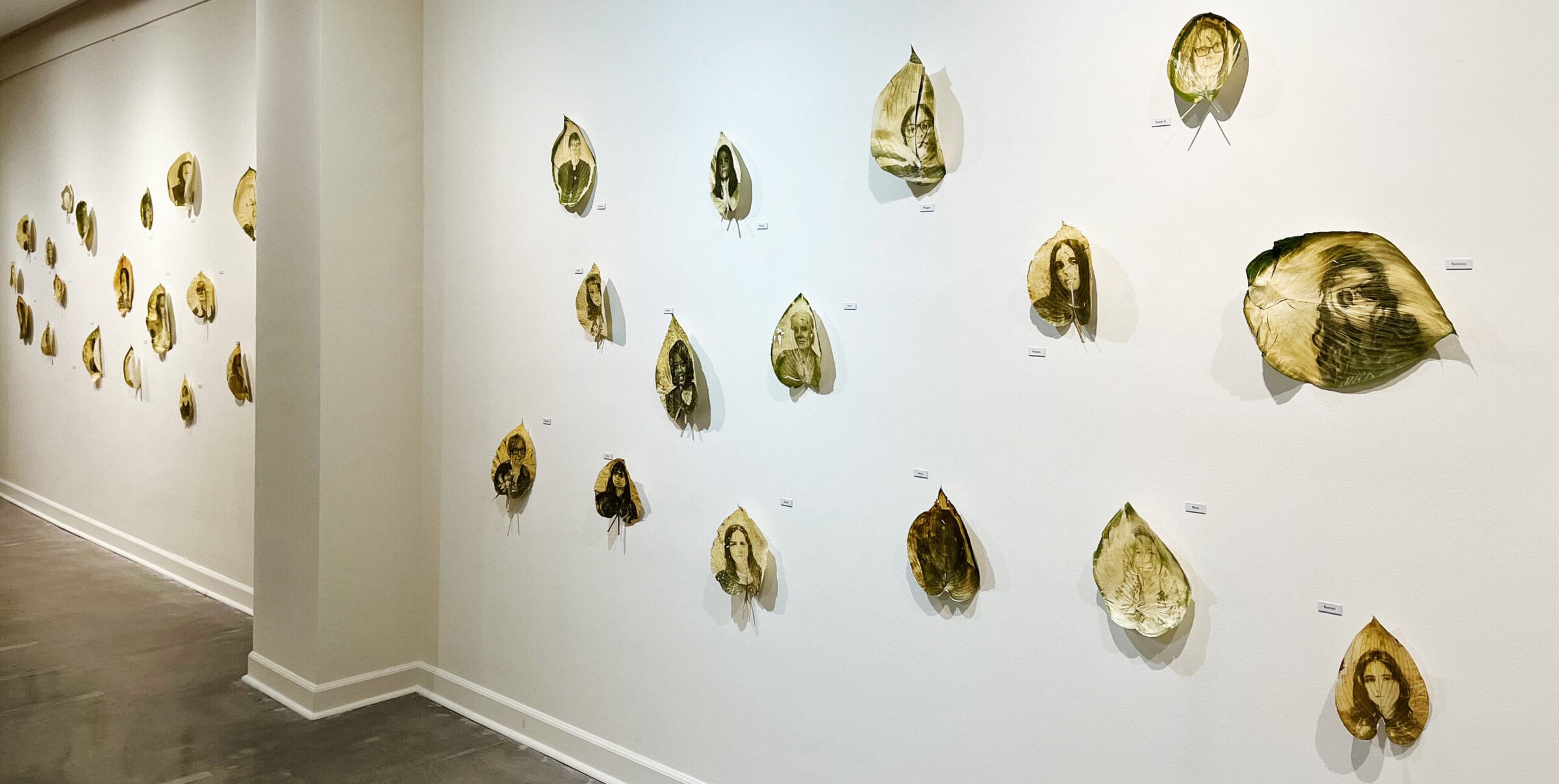 A wall with several leaves hanging on it, each with an image printed on it. 