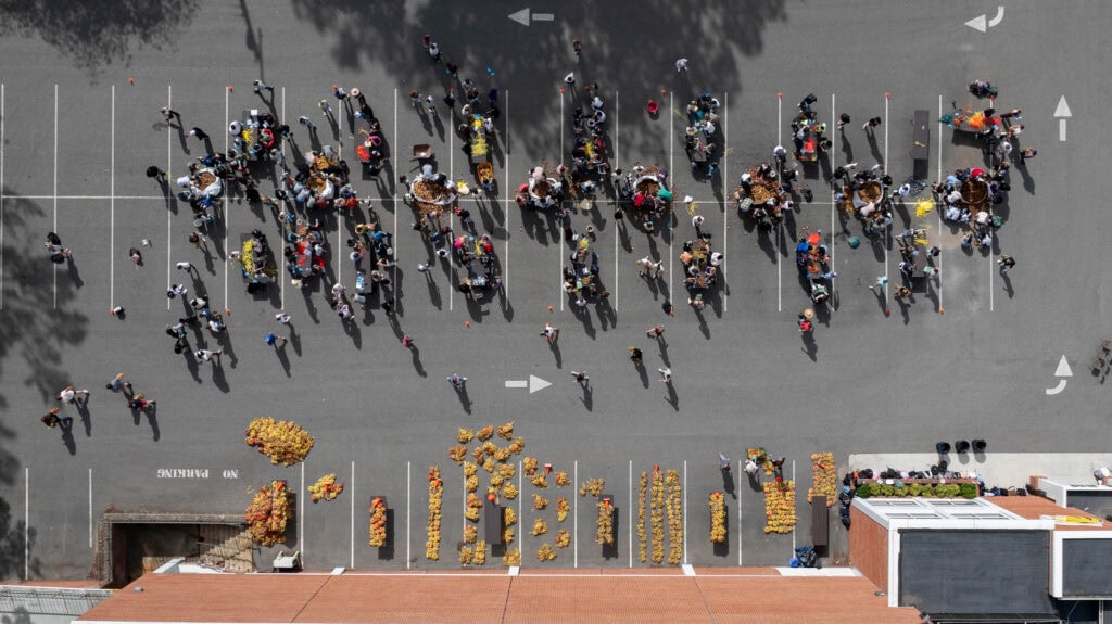 An overhead shot of students doing a service project, sorting and packing poatoes