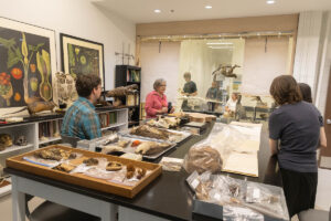 People looking at various items in a museum.