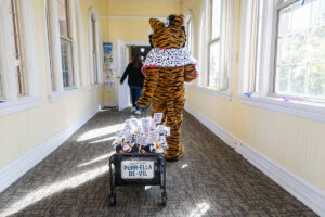 Wanda WildCat walks down a hallway, pulling a wagon