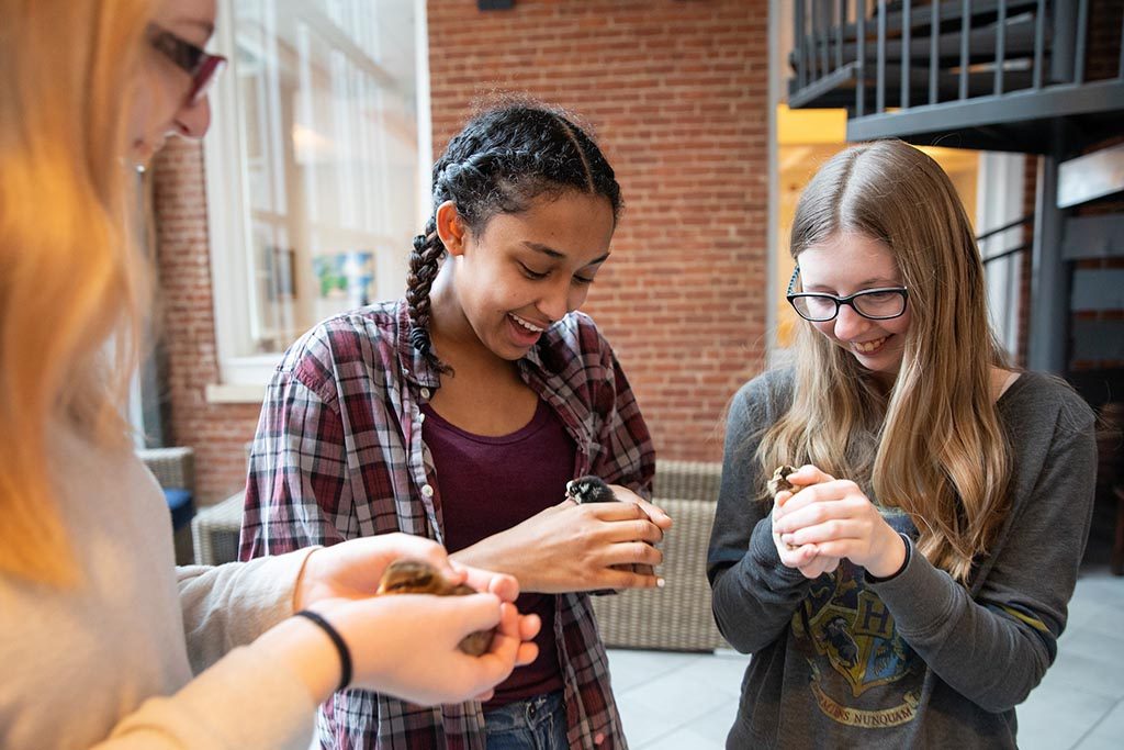 Randolph College students welcome baby chicks who will soon reside in the Organic Garden.