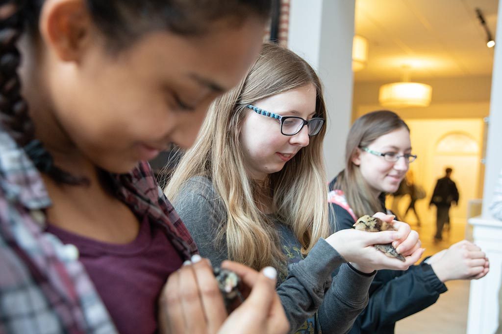 Randolph College students welcome baby chicks who will soon reside in the Organic Garden.