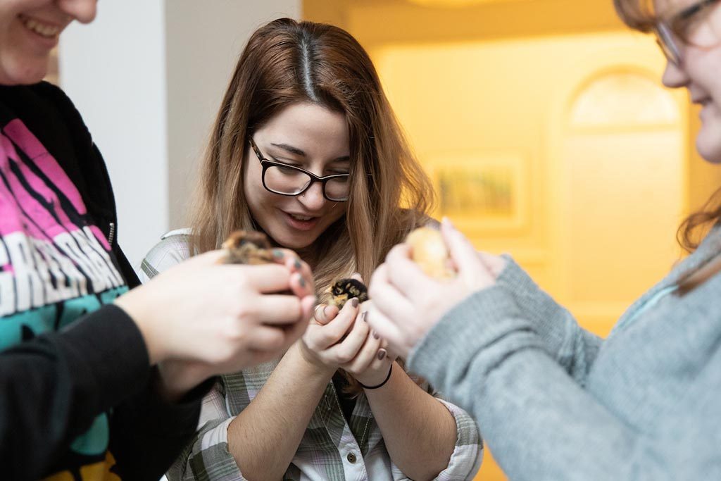 Randolph College students welcome baby chicks who will soon reside in the Organic Garden.